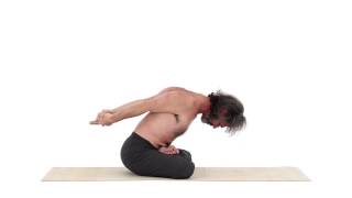 SIEGEL DES YOGA – YOGA MUDRA ASANA