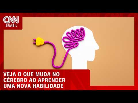 Entenda o que acontece no cérebro ao aprender uma nova habilidade | LIVE CNN