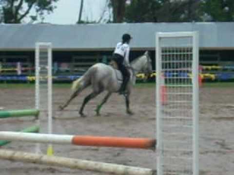 SonoVet's Sir Louie VI, Zone 6 Jump Equitation