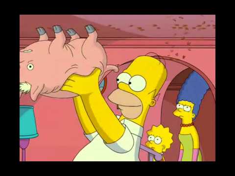 Spiderpig québécois