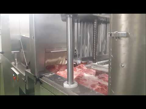 Iniettatrice + inteneritrice Pozzi Proge.co