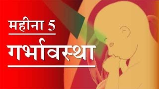 गर्भावस्था - महीना 5 | Pregnancy | Hindi |  Month 5 | Week 18 to week 21