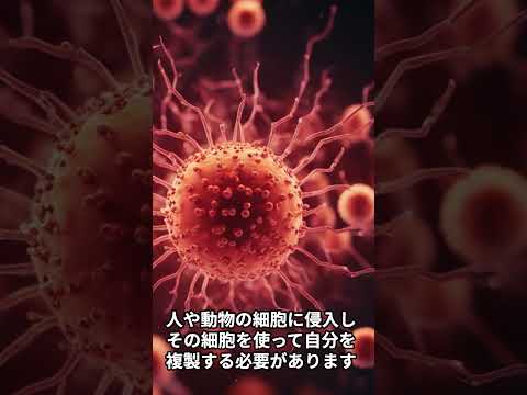 細菌について詳しく解説