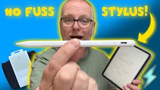 Best Budget Stylus and Slim Bag for iPad