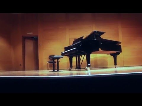 Arno Babadschanjan - Elegy by LEONARD MAKARNAYAN