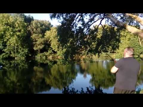 Enorme goujon au fromage