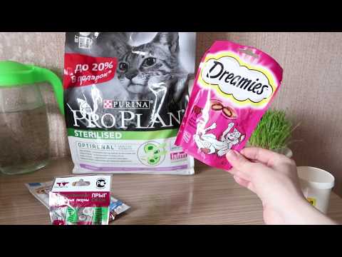 Покупки для домашних животных Purina Pro Plan, Мнямс,  Лизун Прыг-Скок, Dreamies ,Фелвит, Гепатовет