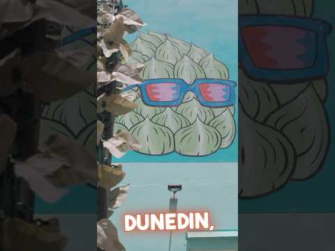 Powering up the House of Beer: #hobbrewingco