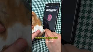 Video thumbnail image