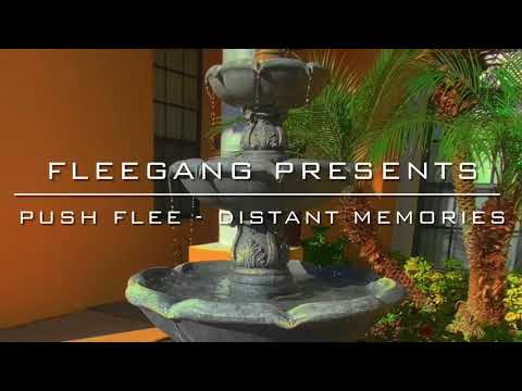 Push Flee - Distant Memories