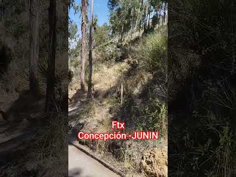 Ftx- concepción - Junin - peru #viajar #folklore #travel #photo #musica #photography #culture