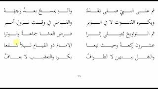صورة 69ملح الناد   التطوع3   عامر بهجت