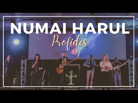Numai Harul | Profides (Imn vechi)