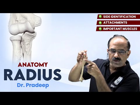Radius | Anatomy | Hard Parts Made Easy with Dr. Pradeep Pawar | PW MedEd
