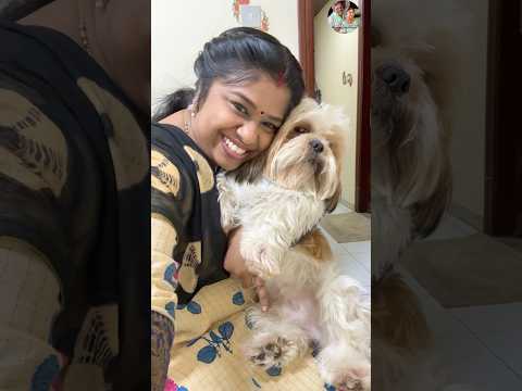 Idhu unmaiya confidence poiduma enaku therila therinjavanga sollunga #minivlog #shorts #pets