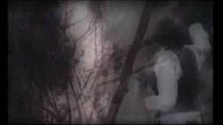 Luis Alberto Spinetta - Mi Elemento