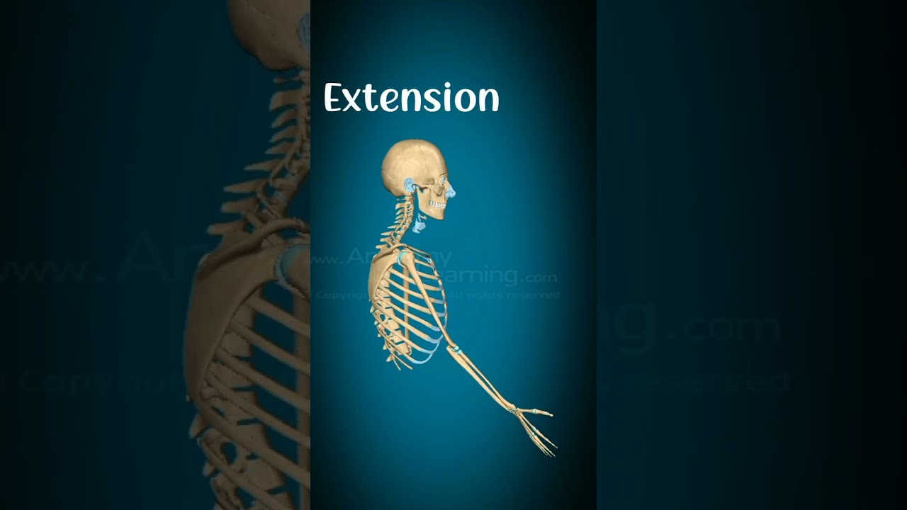 Flexion and extension of shoulder joint#physiorehab#drsamia
