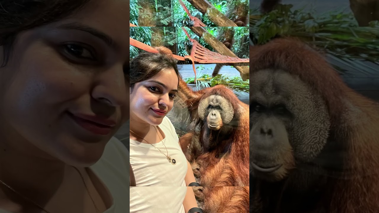 YouTube Short thumbnail