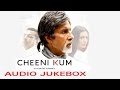 Cheeni Kum Audio JukeBox Amitabh Bachchan Tabu