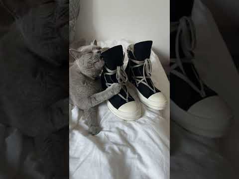 [FREE FOR PROFIT] Ambient x Platina x Heronwater Type Beat 'poka'