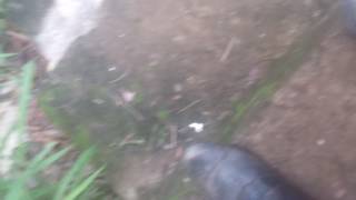 Download lagu kikilu khmer mp3