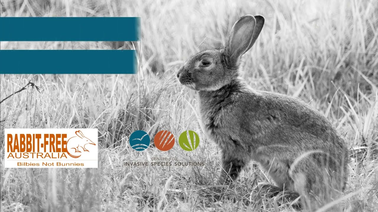 Rabbit Free Australia R&D Forum – A National Conversation