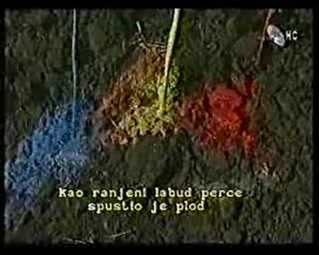 Prekljatstvo Kosceljiska stvarta casc