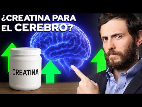 Qué Sucede en tu Cuerpo si Usas Creatina