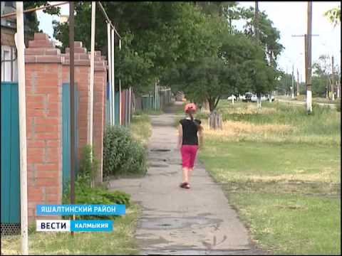 Вести «Калмыкия»: дневной выпуск 05.06.2015