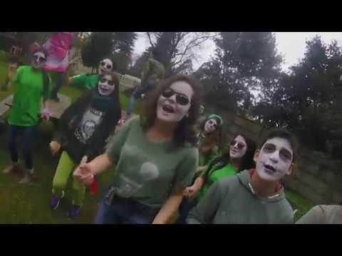 LipDub - Alianza Verde CSI 2017
