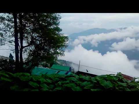 Darjeeling nature beauty.|Hridoy Rahman|