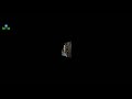 Tere Liye Kuch Bhi Kar De Tere Liye Khud Ko Badal De Khushi Status Video