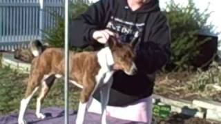 Jagger and his pumice stone