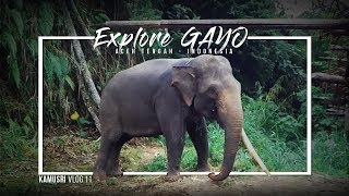 preview picture of video 'Explore Gayo Aceh Tengah - Indonesia | Kamusri Vlog 11 (Sam Kolder and Matt Komo Inspired)'