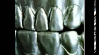 Change Of Heart - Steel Teeth (1997) Full Album