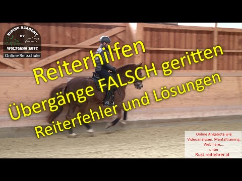 F130 Übergänge mit Pony richtig & falsch geritten. Schenkel-, Kreuz- und Zügelhilfe am Pferd erklärt