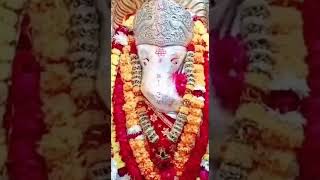 Bohra Ganesh ji new watssap video 🌺🌺 new sta