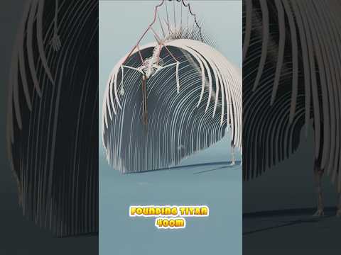 Attack On Titan | Cart Titan Vs Beast Titan Vs Founding Titan