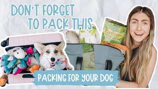 Essentials to Pack for Your Dog on a Trip | What to Pack for my Dog on Vacation