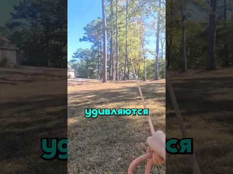 Он знает куда точно падает дерево и решил это доказать😲