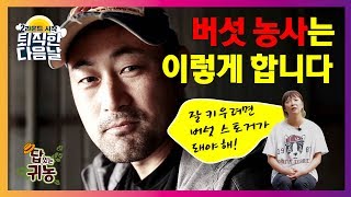 이것이 바로 현실적인 버섯 농사! (버섯 누나가 알려줌)