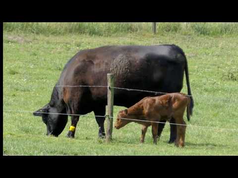 Wandelen Marskramerpad etappe 4: Rijssen - Delden