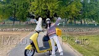 전기스쿠터로 떠나는 가을소풍🛵 / 원주반계리은행나무 / 블루샤크R1