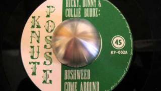 Ricky, Bunny & Collie Buddz - Bushweed Come Around