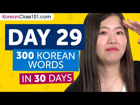 Day 29: 290/300 | Learn 300 Korean Words in 30 Days Challenge