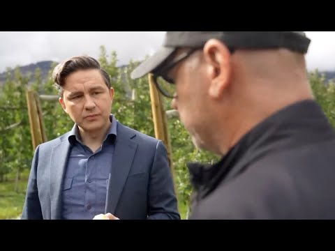 LILLEY UNLEASHED Reporter accuses Poilievre of being like Trump, offers no examples