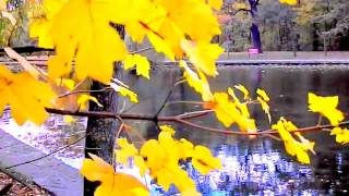 My Heart Will Go On, Sir James Galway`s Flute