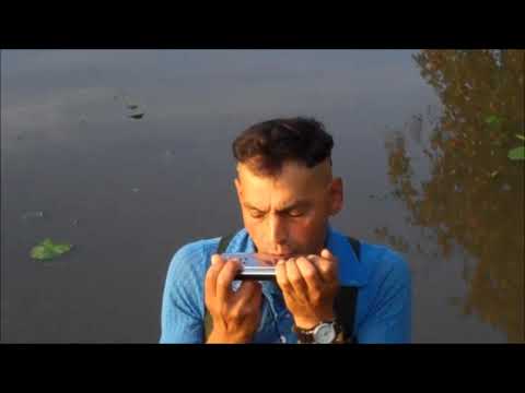 Sasa Brizinskas Vydmantai im Teich