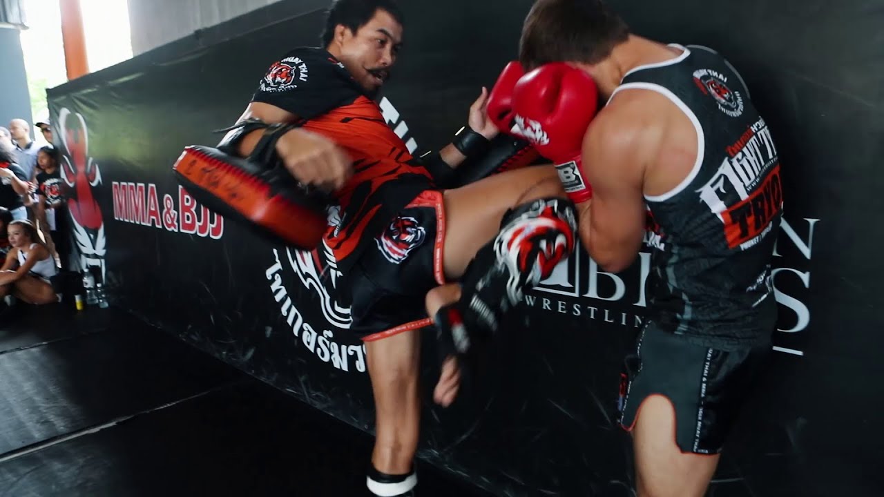 tiger muay thai fogyás eredményei