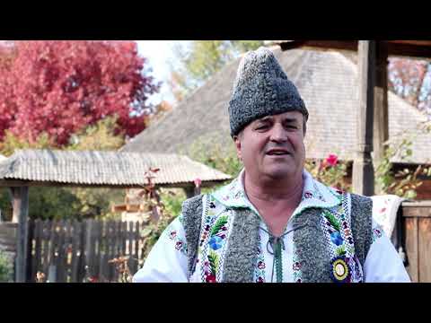 Mitrita Cretu - Necajita turturica